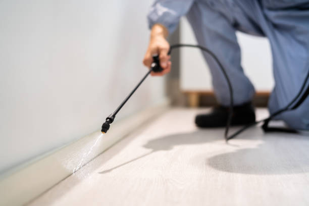 Licensed Fumigation Services service in Warrenville, IL - Nex Pest Control