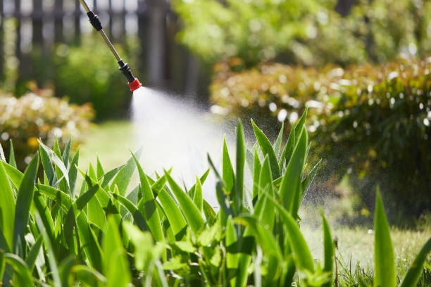 24/7 Emergency Fumigation Services experts in Warrenville, IL
