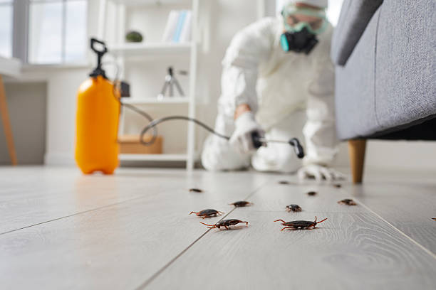 Trusted Mosquito Control service in Warrenville, IL - Nex Pest Control