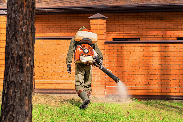 Trusted Termite Control service in Warrenville, IL - Nex Pest Control